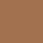 4 - Bronze Spledore