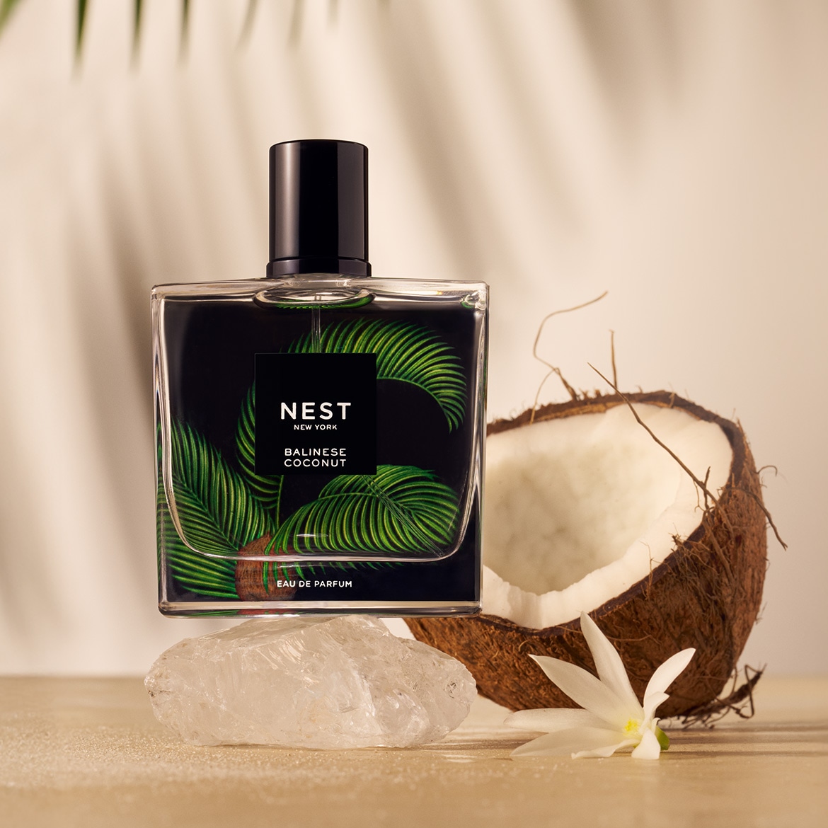 Voici le parfum Balinese Coconut de Nest New York, un flacon transparent orné de feuilles de palmier vertes, évoquant une senteur tropicale et fraîche.
