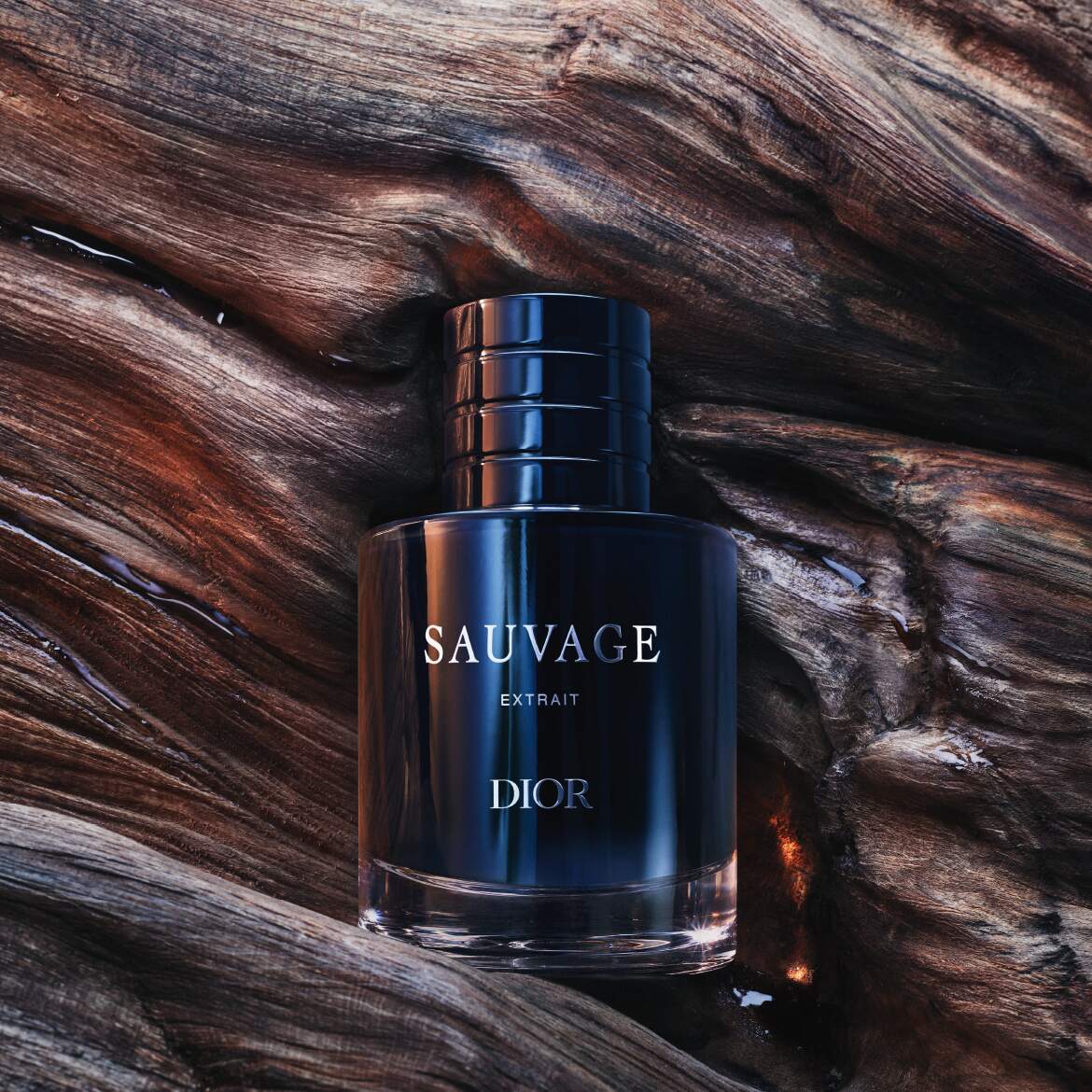 De Dior Sauvage Extrait parfumfles, donkerblauw met zilveren letters, staat op een ruw, donkerbruin houten oppervlak met glanzende, natte plekken.