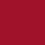520 - PURE HIBISCUS