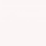 500 - Unapologetic Icon