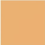 4N1 SHELL BEIGE - Travel Size
