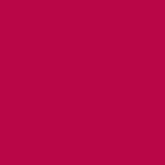391 - VIBRANT ROSE