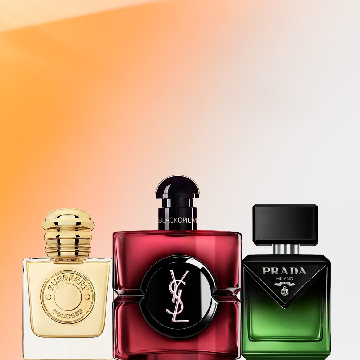 Brand Highlights - 1170 x 1170be.jpg