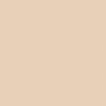 05 - PEACH ROSE