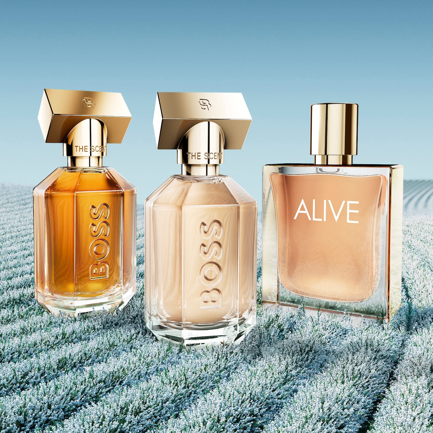 Drie flessen parfum van BOSS staan op een veld vol kleine witte bloemen, de flessen hebben gouden doppen en de geuren variëren van amber tot perzik.