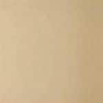 True Match Foundation