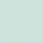 01 - ROSE FLASH