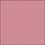 34 - ROSE D'OR - Mini