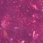 55 Fiercest of Them All (Special Effects)