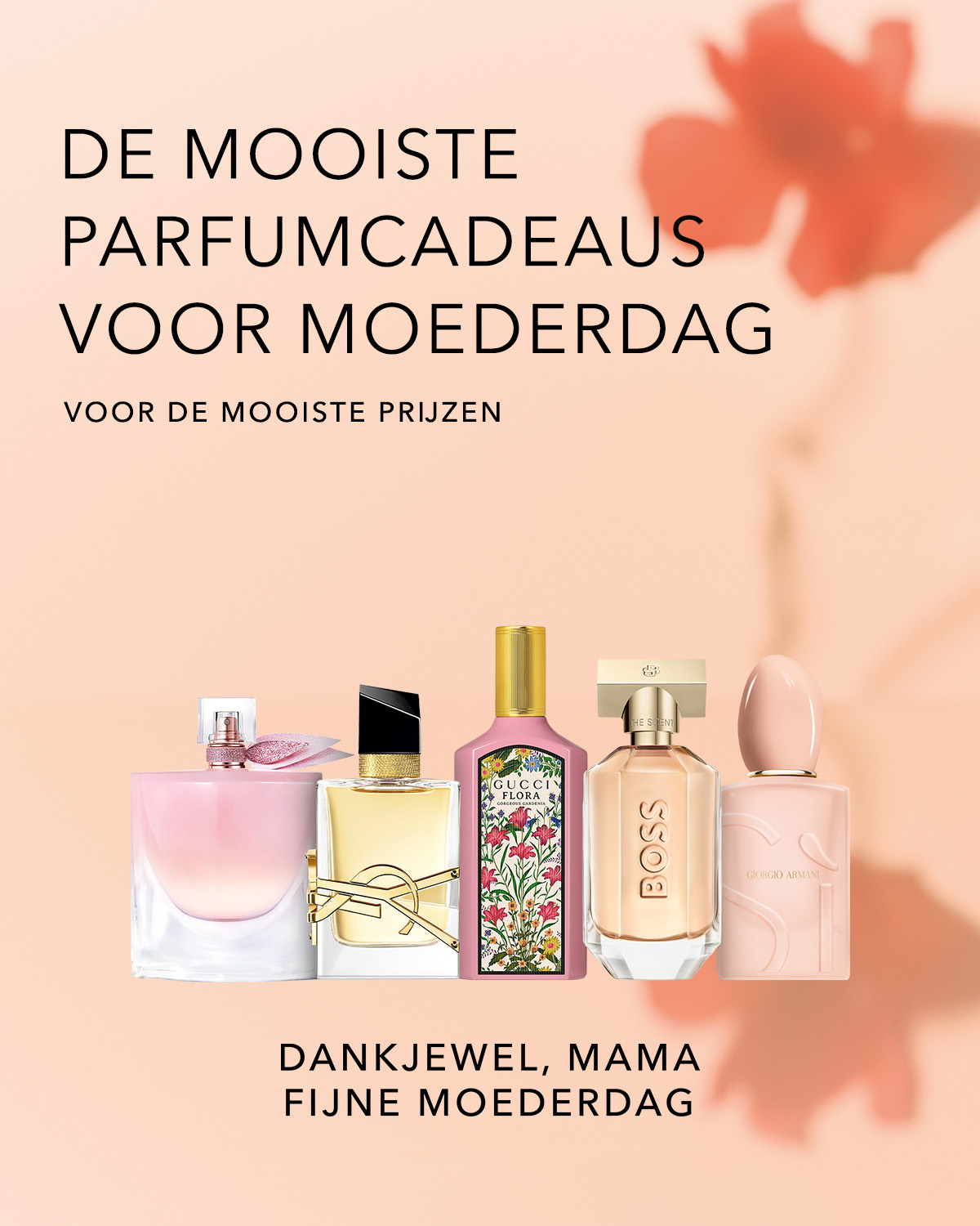 Reco Teaser - 1200 x 1500- BE.jpg