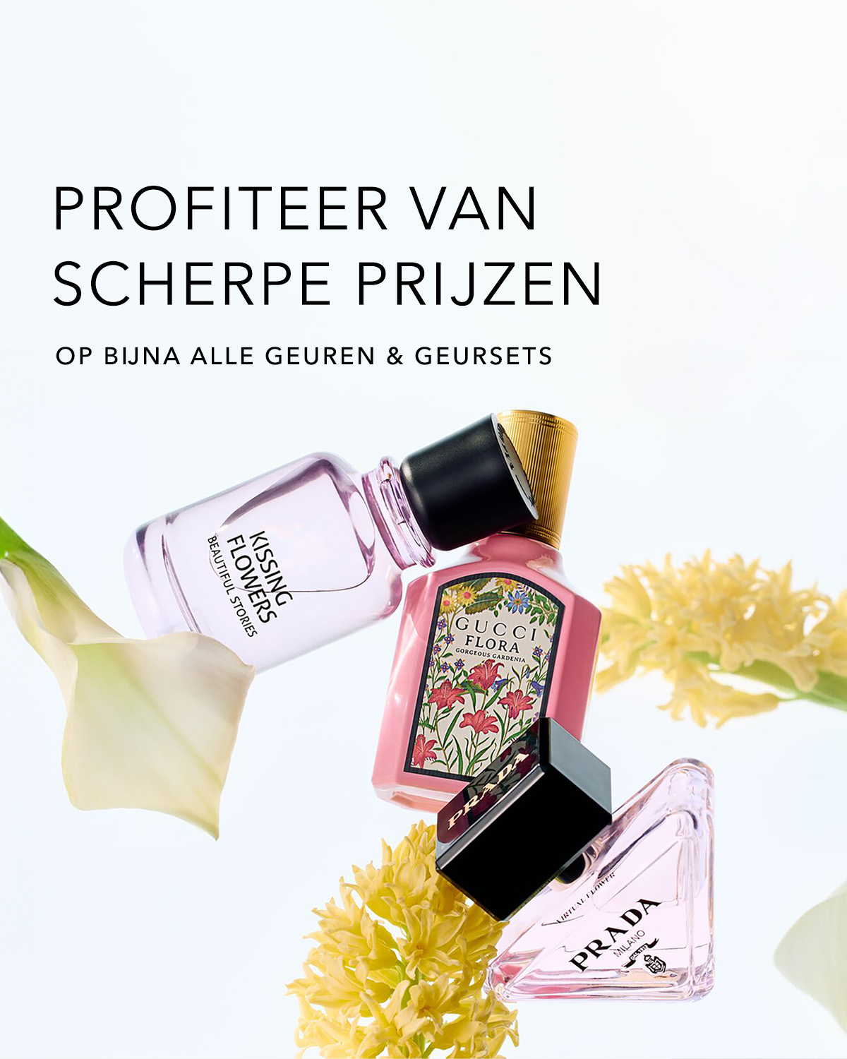 Reco Teaser - 1200 x 1500.jpg