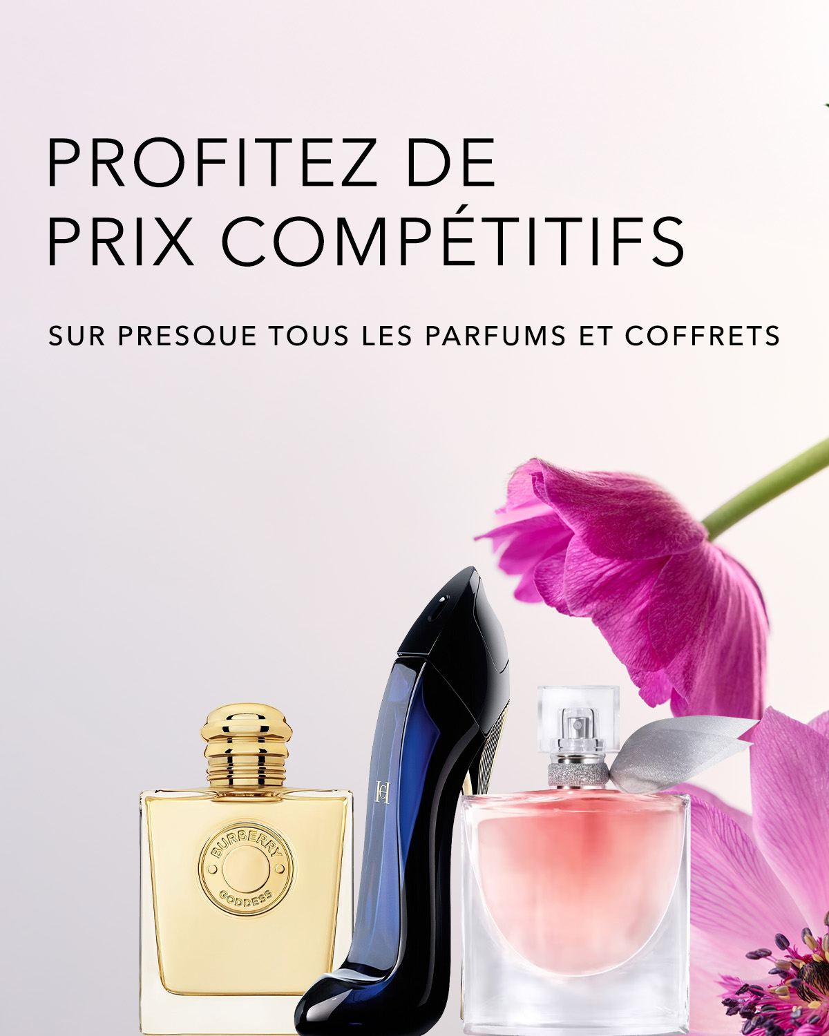 Reco Teaser 1200x1500.jpg