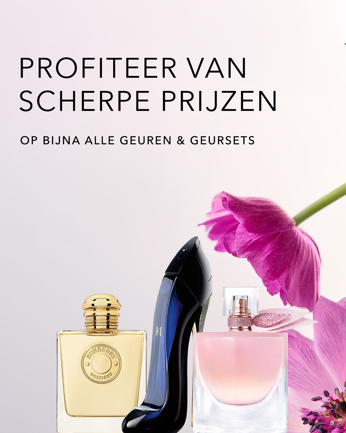 Reco Teaser 1200x1500.jpg