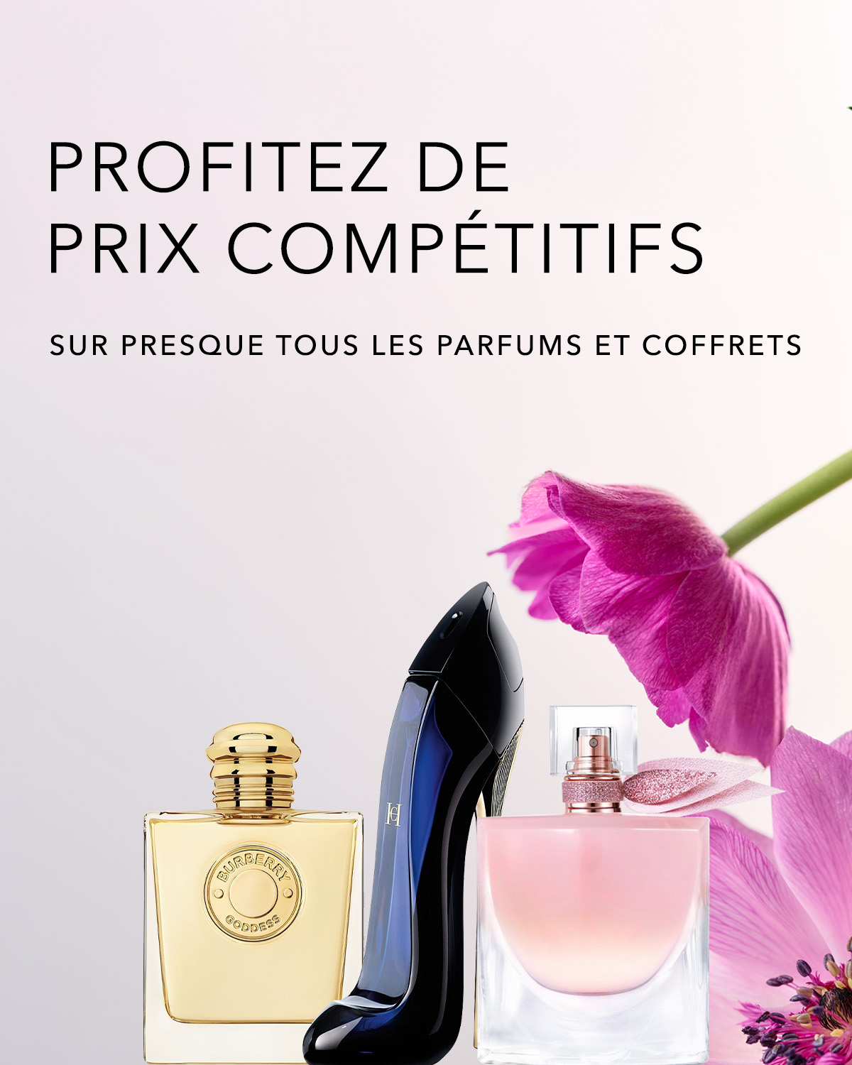 Reco Teaser 1200x1500.jpg