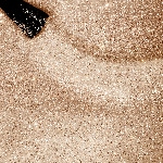 433 Twinkeling Champagne