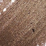 METALLIC HAZEL