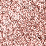 24 Metallic Desert Rose