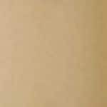 True Match Foundation