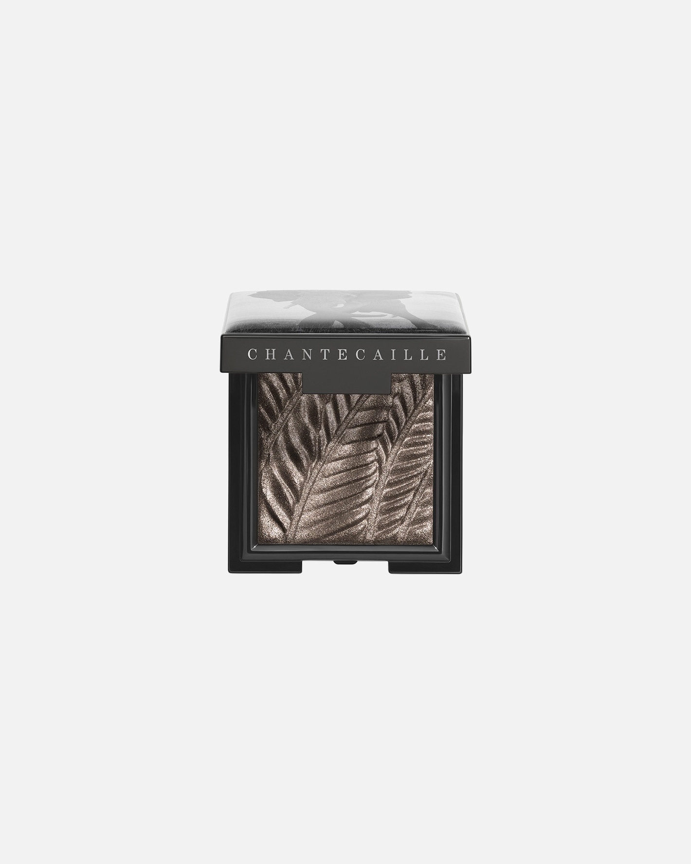 Oogschaduw voor UnisexChantecailleLuminescent Eye ShadesElephant