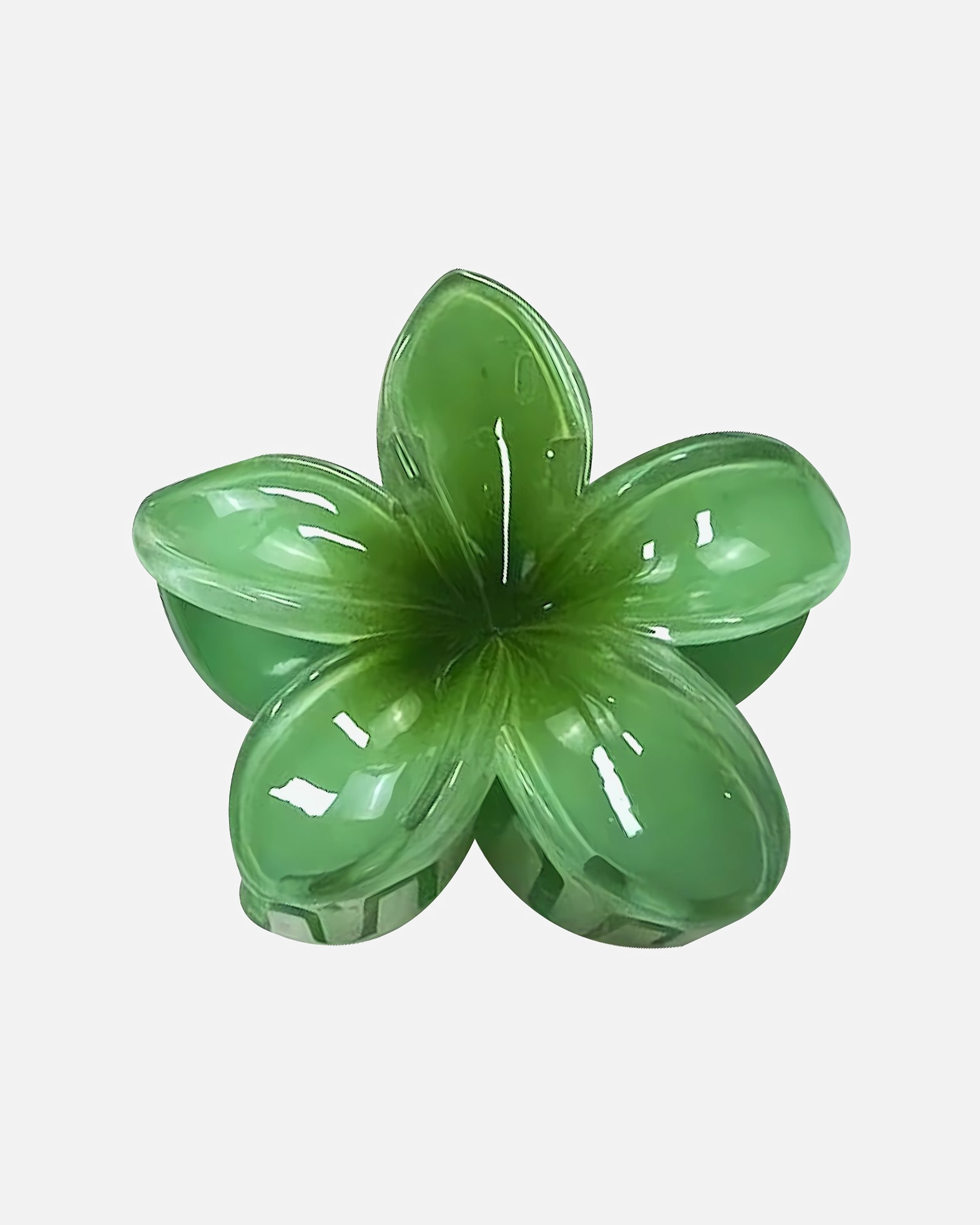 Pince à cheveux pour UnisexeSOHODefault Brand LineMoana Pince à cheveuxVert