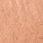 Naked Desire