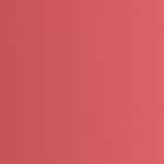 230 - SHOPPING SPREE