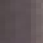 Warm Dark Brown