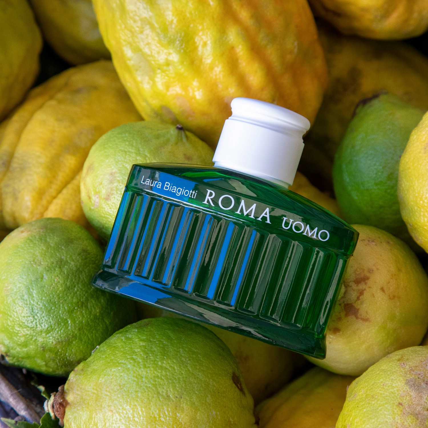 Green Swing Biagiotti Roma Uomo Roma Laura Biagiotti Müller Laura