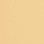 Warm beige