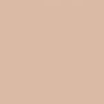 #21 LIGHT BEIGE