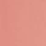 500 - Le Beige Freedom