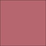 95 - JASPER ROSE - Mini