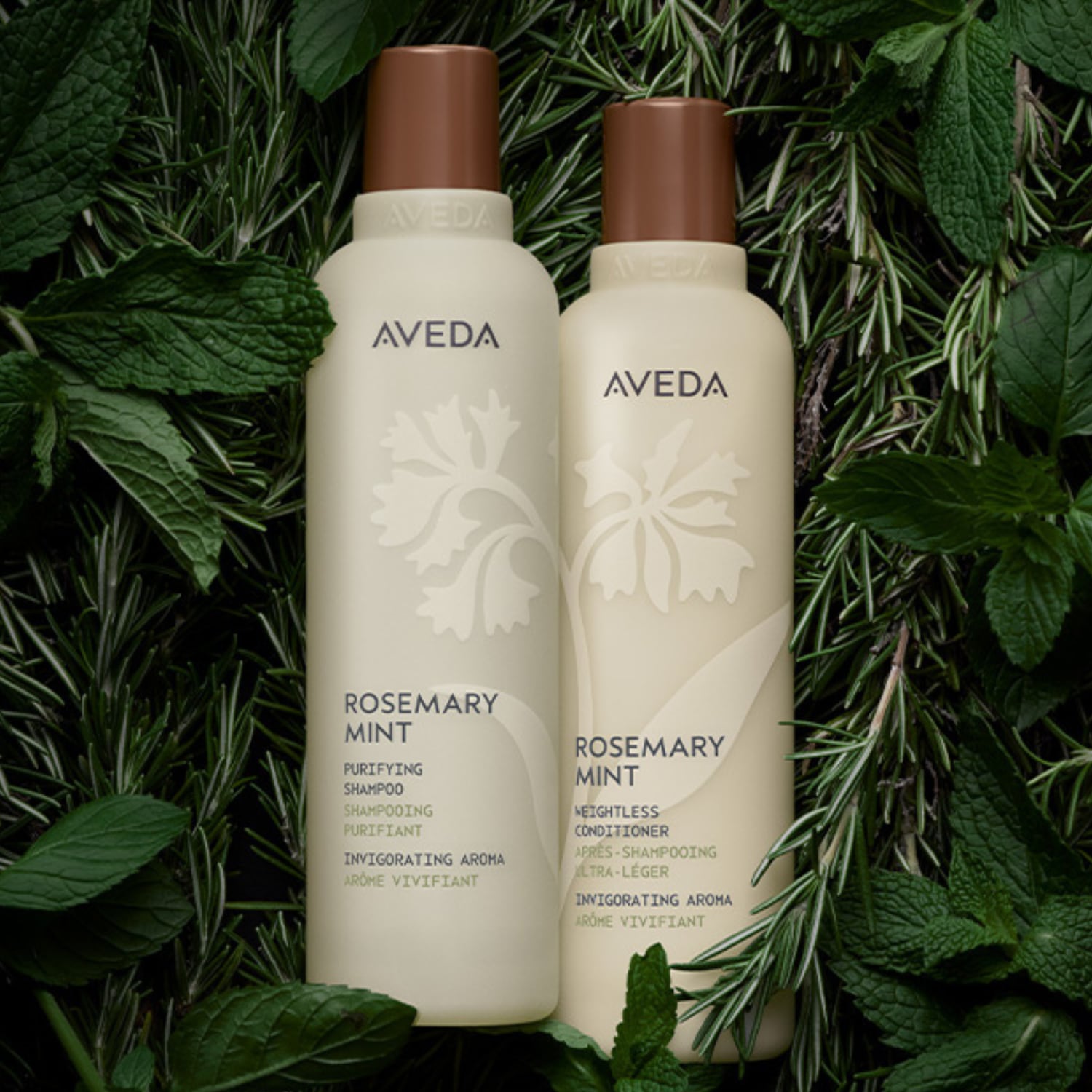 zonder_gwp_DGLS BRANDPAGE.png